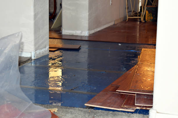 Professional Burst Pipe Cleanup technician working in Erwinna, PA